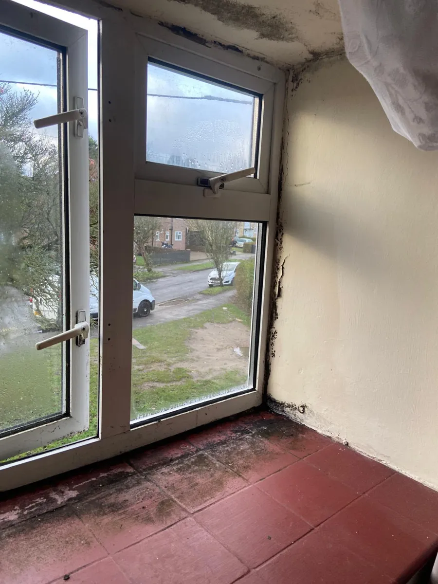 Black mould on the wall, ceiling and tiled sill around a uPVC window before cleaning