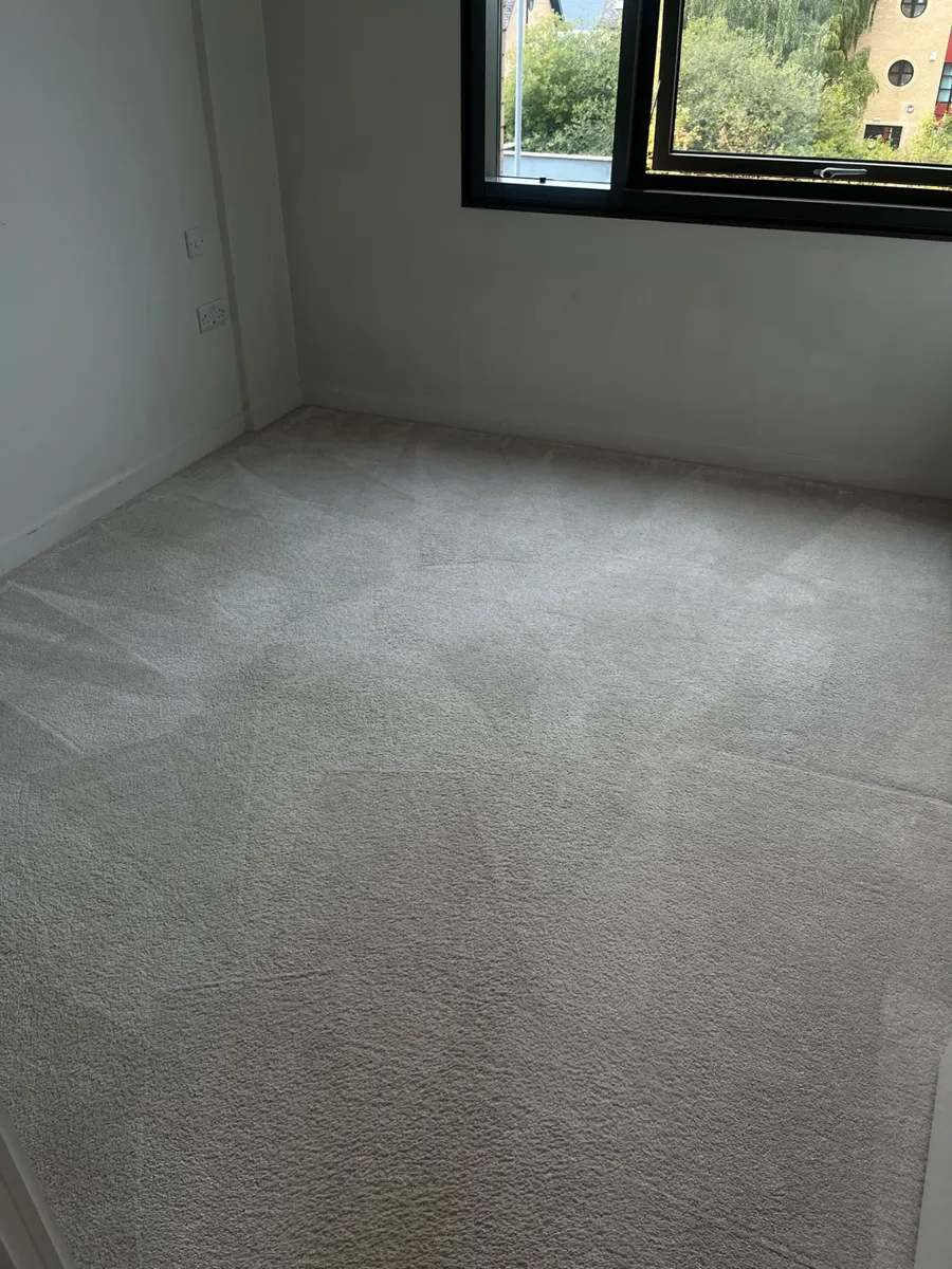 Freshly cleaned light carpet in an empty room with a large window