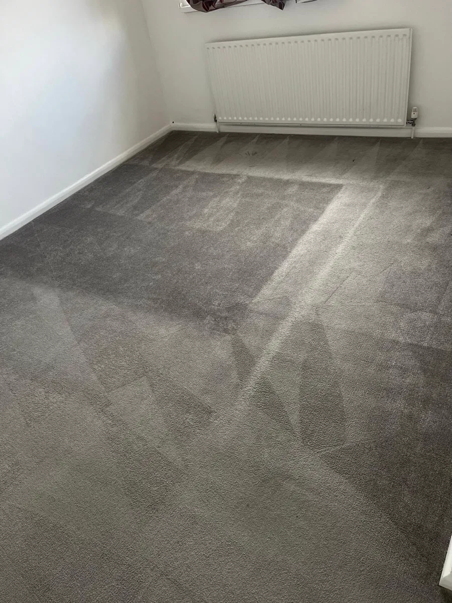 Freshly cleaned grey carpet with visible cleaning lines under a radiator