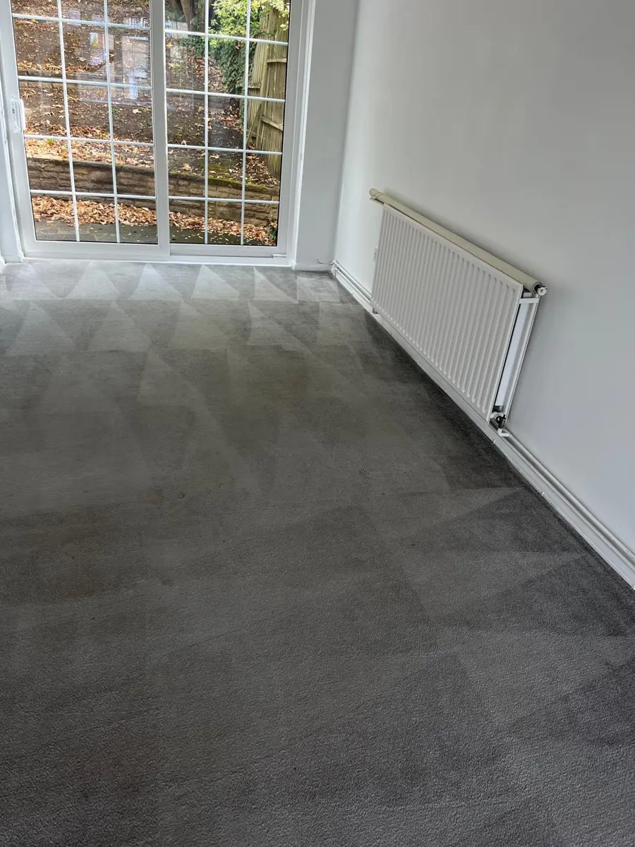 Freshly cleaned grey carpet in front of patio doors