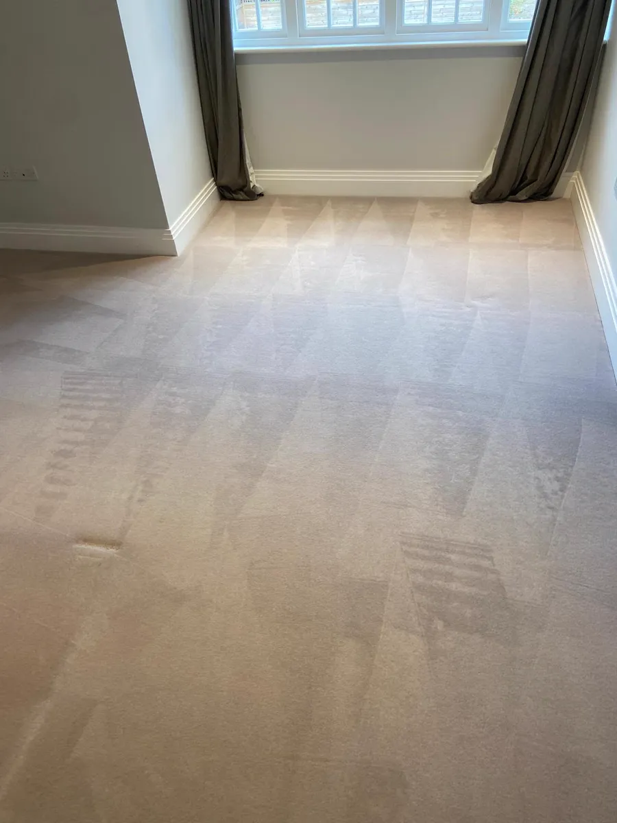 Cleaned beige carpet in a bay-window room with curtains